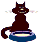 sitting cat